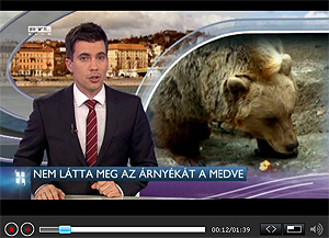 mackfesztivl
